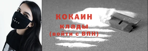 гашик Аркадак