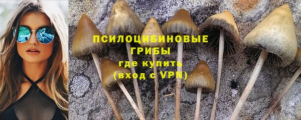 mdpv Алексин